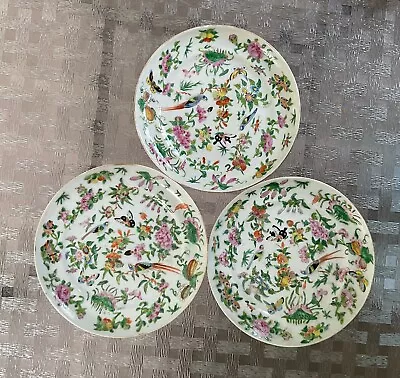 Buy Antique Chinese Export Porcelain Canton Famille Rose Celadon Set Of 3 Plates • 221.33£