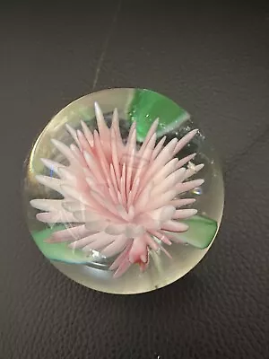 Buy Crysanthemum Flower Pink 2 Inch Round Glass Paperweight  • 5£