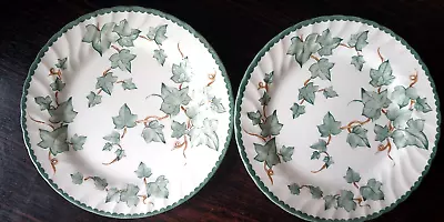 Buy BHS Country Vine Green Ivy  Pattern 8 Inch Plates X2 ( 6 Available) C1979 • 11.99£