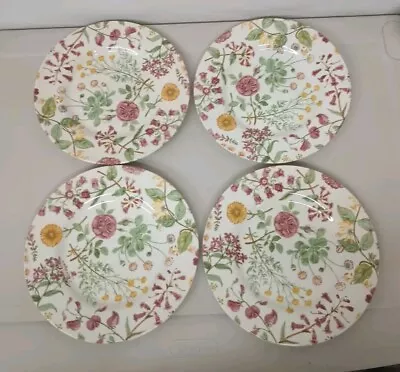 Buy 4 Royal Stafford Hedgerow Wildflowers Fine Earthenware Plate Pink Yellow 8.25” • 48.72£