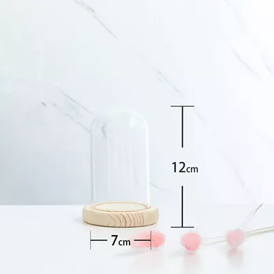 Buy Clear Glass Dome Display Bell Jar Cloche With Wooden Base For Doll Gift Storage • 8.99£