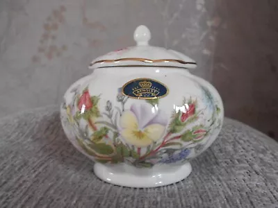 Buy Aynsley Wild Tudor Vintage Trinket Pot With Lid.   Fine Bone China  • 4.99£