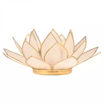 Buy Lotus Flower Tea Light Candle Holder  Natural  • 12£