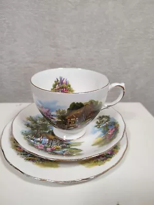 Buy Royal Vale Country Cottage Bone China Tea/Coffee Cup Saucer Side Plate Set Of 3 • 24£