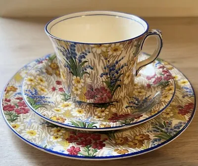 Buy Royal Winton Grimwades Chintz Marguerite Tea Cup Trio • 19.95£