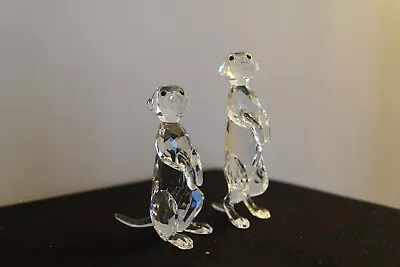 Buy Swarovski Meerkats (5135929) • 130£