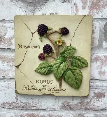 Buy Vintage Marks And Spencer 3 D Hand Painted Wall Plaque Blackberry Fruits • 9.65£
