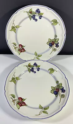 Buy Villeroy & Boch Cottage Dinner Plates Set Of 2 • 121.14£