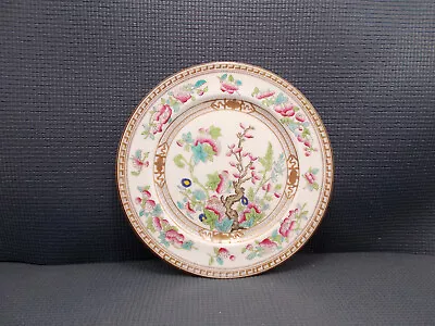 Buy Royal Doulton Dinnerware Dresden Indian Tree Luncheon Plate 9 1/8  • 15.80£