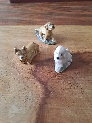 Buy 3 Wade Whimsies.  Dogs • 2.99£