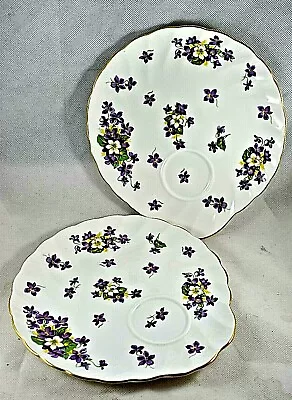 Buy Royal Tuscan Fine Bone China Woodland Violet Pattern Hostess Gold Rimmed Plates • 27.96£