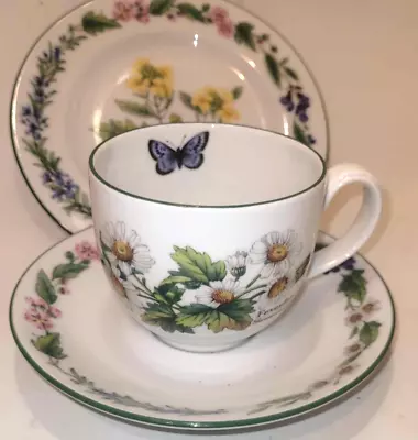 Buy Royal Worcester Herbs Fine Porcelain Tea Cup & Saucer Side Plate Trio • 13.99£