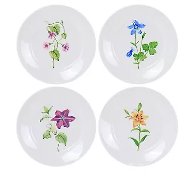 Buy MARTHA STEWART Botanical Dessert Salad Plates SET OF 4 FLORAL (047) • 21.43£