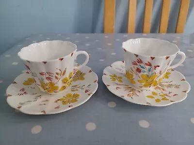 Buy Vintage Tuscan Bone China Handpainted Cups & Saucers( R 351548) • 8.50£