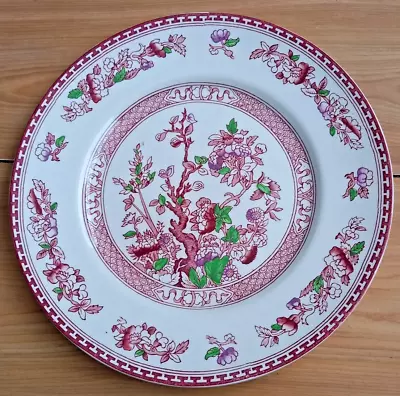 Buy Vintage W R MIDWINTER Indian Tree (red) Extra Large 11 Inch Dinner Plate • 4£
