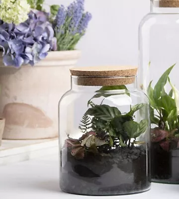 Buy Small Recycled Clear Glass Terrarium Planter Pot Bottle 5L Half Open Cork Lid • 20.99£