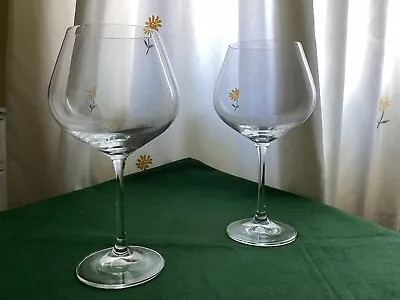 Buy Pair Of Darlington Large Crystal Gin Cocktail Glasses • 22£