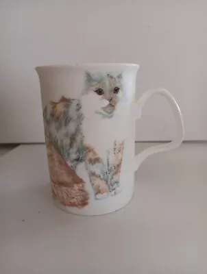 Buy Cats Galore Roy Kirkham Fine Bone China Coffee/Tea Mug 2005 England • 12.99£