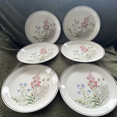 Buy J & G Meakin Country Lane Side Plates X 6 Floral 9” • 14.95£