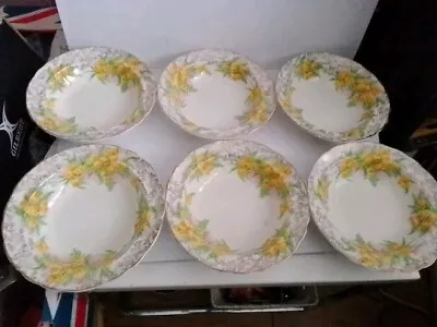 Buy 6 James Kent Golden Wattle Dessert Dishes • 5.99£