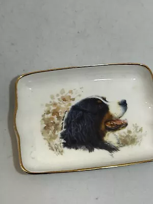 Buy AJL Giftware English Mountain Dog Tray Animal Bone China Dish Ring Trinket #LH • 2.99£