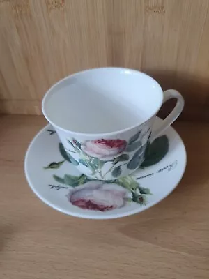 Buy Roy Kirkham Redoute Roses Large Breakfast Cup And Saucer • 20£
