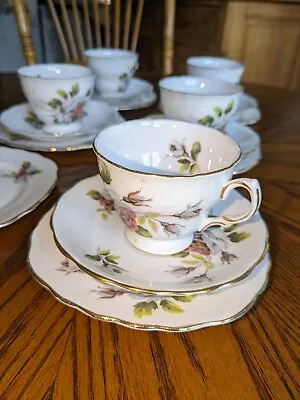 Buy Royal Vale Of Ridgway Potteries Queen Anne Bone China Tea Set • 28£