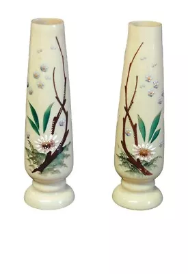 Buy Antique Bristol Glass Vases Lovely Hand Painted Mouth Blown Floral  Motifs Vase. • 29.99£