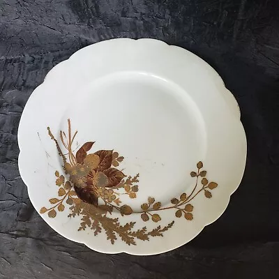 Buy Vintage Gilded Gold Floral  Limoges AK Salad Scalloped Plate 8 Inch Very Nice • 14.83£