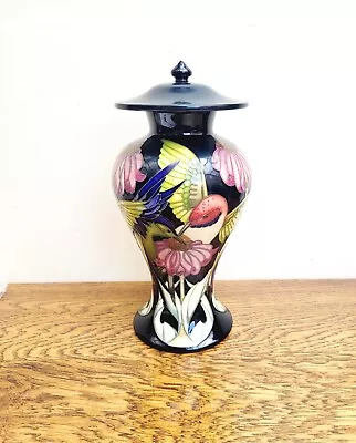 Buy Moorcroft Covered Vase DUCHESS OF RIVOLI Vicky Lovatt Ltd Edt Hummingbirds • 395£