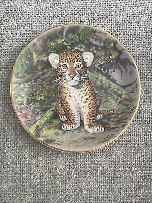 Buy Royal Stafford   Jungle Prince   Leopard Cub Limited Edition No 372I   Mint • 6£