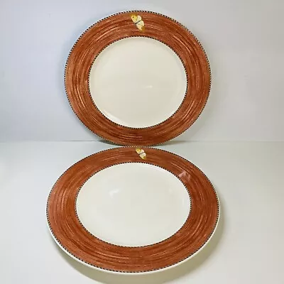 Buy Wedgwood Sarah's Garden 11  Dinner Plate X 2 (Set C) - See Description • 17£