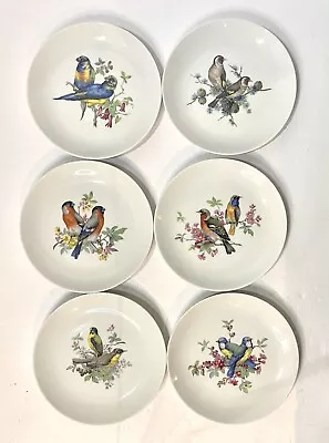 Buy Vintage A K Kaiser West Germany Dessert Plates Hand Painted Birds & Flowers 7.5” • 42.87£