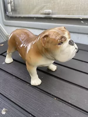 Buy English Bulldog Figurine Looks Like A Beswick But No Stamp ? • 4.99£