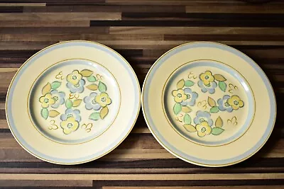 Buy Vintage Burleigh Ware Burgess & Leigh Hand Painted 9 Inch Plates X 2 • 14£