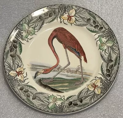 Buy Audubon Flamingo 10.25” Plate By William Adams Tunstall, England Vgc • 45.75£