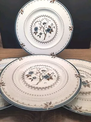 Buy Royal Doulton Old Colony Dinner Plates Set Of 4  • 25£