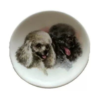 Buy Vintage Fenton China Poodle Dog Plate Collectors Display Plate Miniature • 7£
