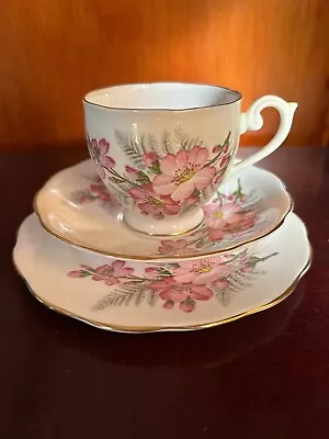 Buy Queen Anne Bone China England Floral Cup Saucer And Plate Trio  • 8.24£
