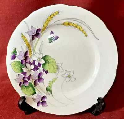 Buy Violets, Royal Grafton Fine Bone China, England, Side/Tea Plate 6,5  Excellent • 2.99£