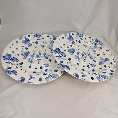 Buy 2 Royal Stafford Fine Earthenware 11” Dinner Plates, Blue Alpine Strawberry • 23.27£