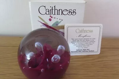 Buy Beautiful Caithness MOONFLOWER Ruby Amethyst Paperweight - (ref.577) • 14.99£