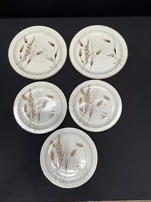 Buy Midwinter Stonehenge Wild Oats Dinner And Salad Plates Set Of Five • 19.99£