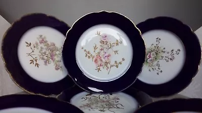 Buy 6 X J C Limoges France Cobalt Blue & Gold Trim Hand Painted 9  Floral Plates  • 109.95£