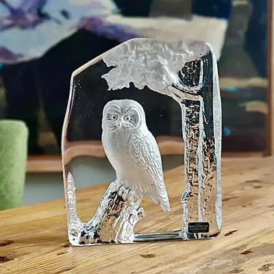 Buy Vintage Kosta Boda Kjell Engman Etched Owl Art Glass Figurine Bird Statue Label • 139.79£