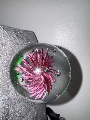 Buy Crysanthemum Flower Pink 2 Inch Round Glass Paperweight  • 4.99£