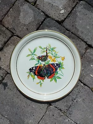 Buy  Brendan Erin Stone Made In Arklow Ireland Dinner Plates 10.5  Butterfly Design • 4£