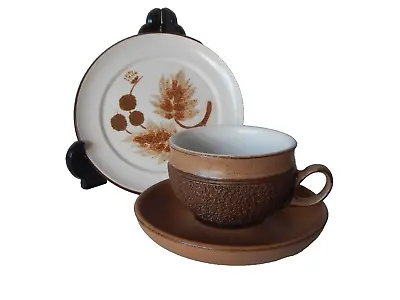 Buy Denby Cotswold Acorn Coffee Cup Saucer Side Plate Brown Trio Floral • 5£