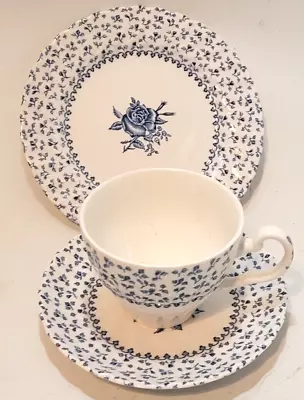 Buy Royal Victoria Rose Bouquet  Tea Cup Saucer Tea Plate Blue Floral Vintage Trio • 8.99£