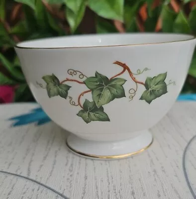 Buy Vintage Colclough  Ivy Leaf  Vine  Gold Rim Footed Large Open Sugar Bowl Plain  • 5£